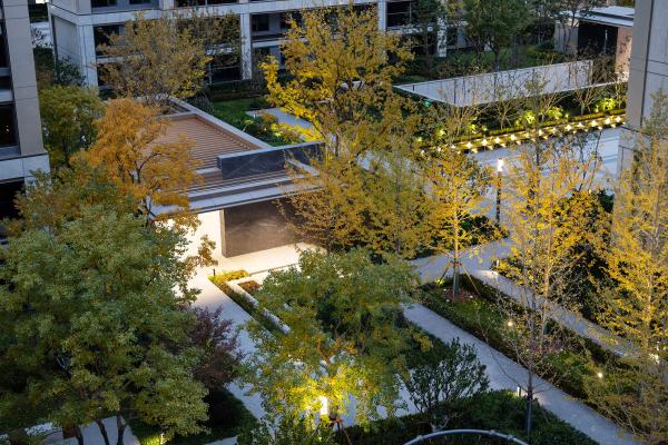 中企云启春申（景观）